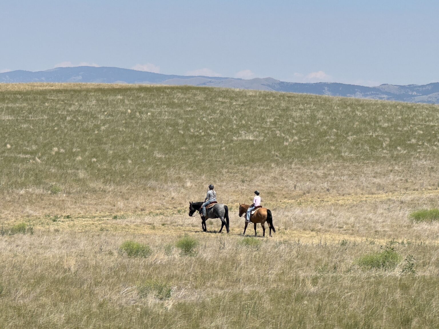 Sharing the Trail: Proper Trail Etiquette Takes All of Us