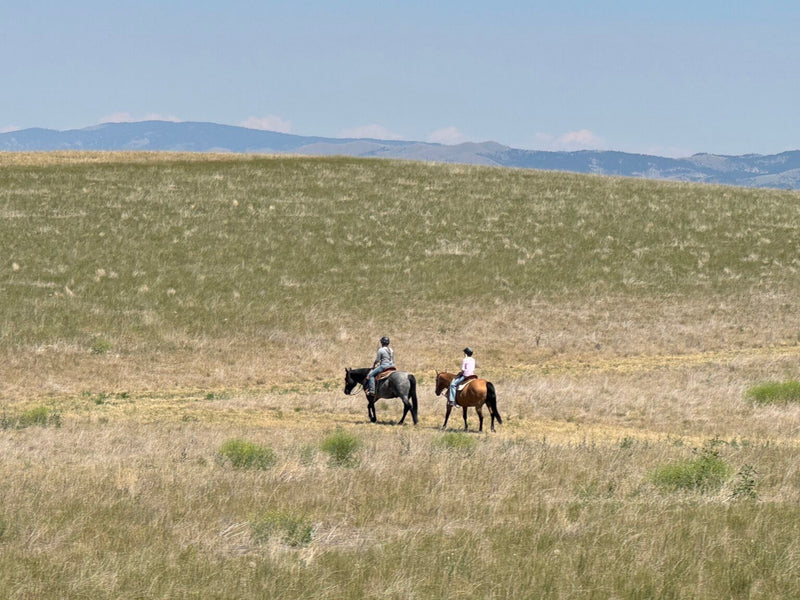 Sharing the Trail: Proper Trail Etiquette Takes All of Us