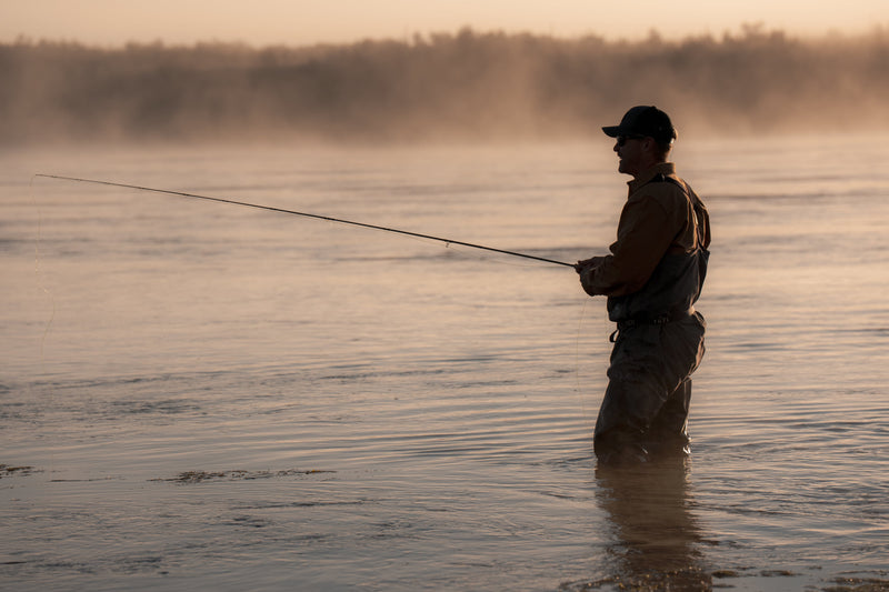 MOHAB rooftop cabin at sunset
